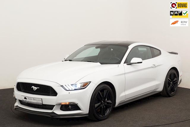 Ford Mustang Fastback 2.3 EcoBoost 50 years edition Full-options, soundbox V8