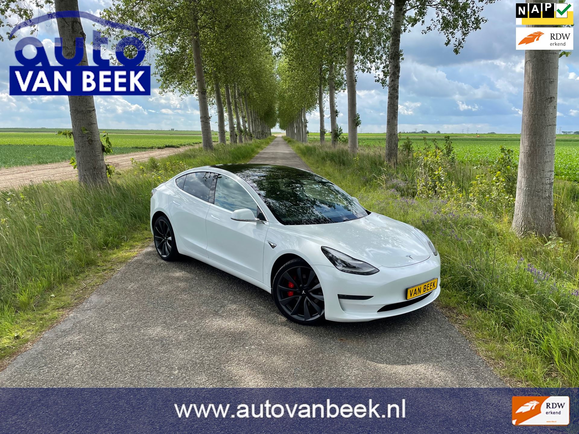 Tesla Model 3 occasion - Auto van Beek