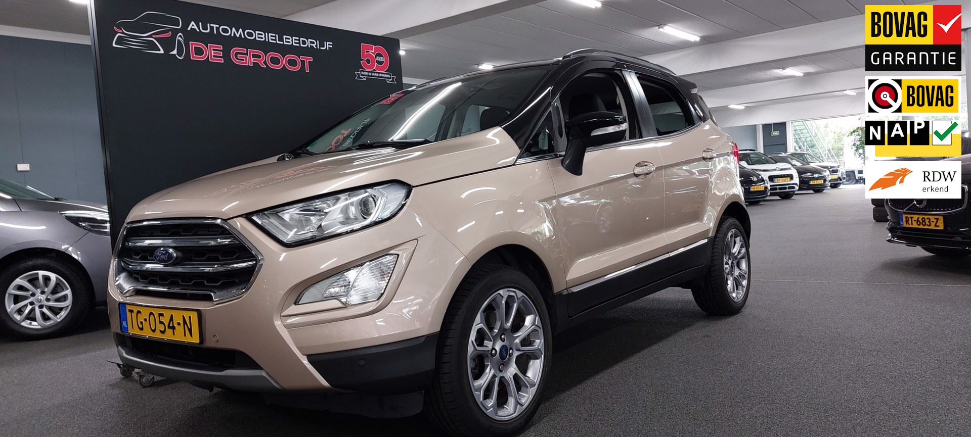 Ford EcoSport occasion - Automobielbedrijf de Groot