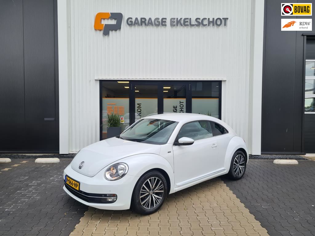 Volkswagen Beetle occasion - Garage Ekelschot BV