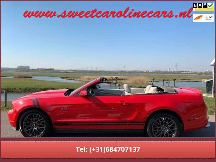 Ford USA Mustang occasion - Sweet Caroline Cars