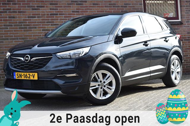 Opel Grandland X occasion - Autobedrijf Prins